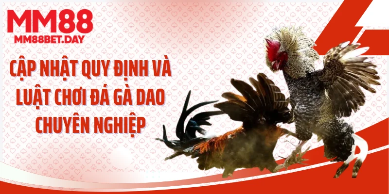 Cập nhật quy định và luật chơi đá gà dao chuyên nghiệp