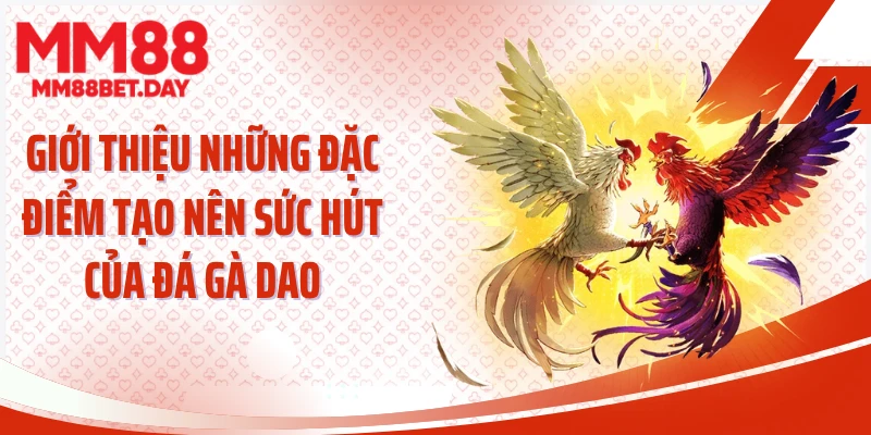 Giới thiệu những đặc điểm tạo nên sức hút của đá gà dao