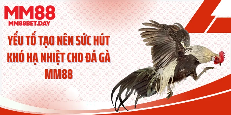 Yếu tố tạo nên sức hút khó hạ nhiệt cho đá gà MM88